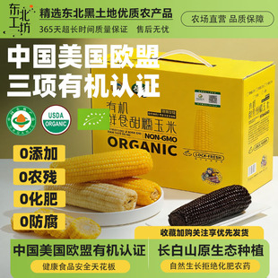 正宗东北特产有机甜糯玉米新鲜黑白黄非转基因礼盒节日送礼粘苞米