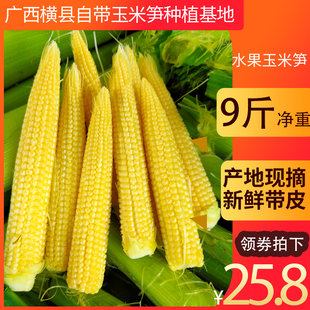 广西即食水果玉米笋心带皮迷你小玉米笋芯新鲜嫩现摘9斤手指包邮