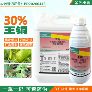 一帆30%王铜悬浮剂柑橘树溃疡病软腐病杀菌剂农药正品5公斤大包装