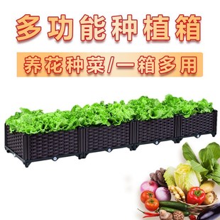 阳台种菜专用盆家庭户外庭院蔬菜A种植箱家用种菜箱神器花盆长方