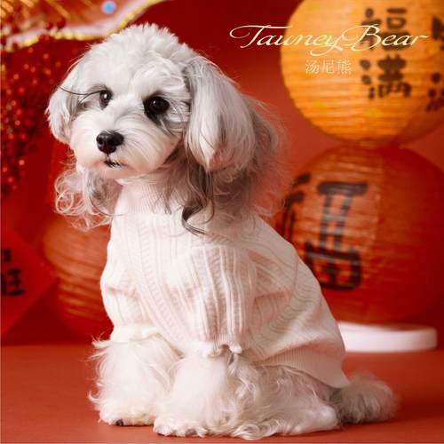 汤尼熊 狗狗衣服秋冬打底两脚高领花边毛衣雪纳瑞泰迪比熊打底衫