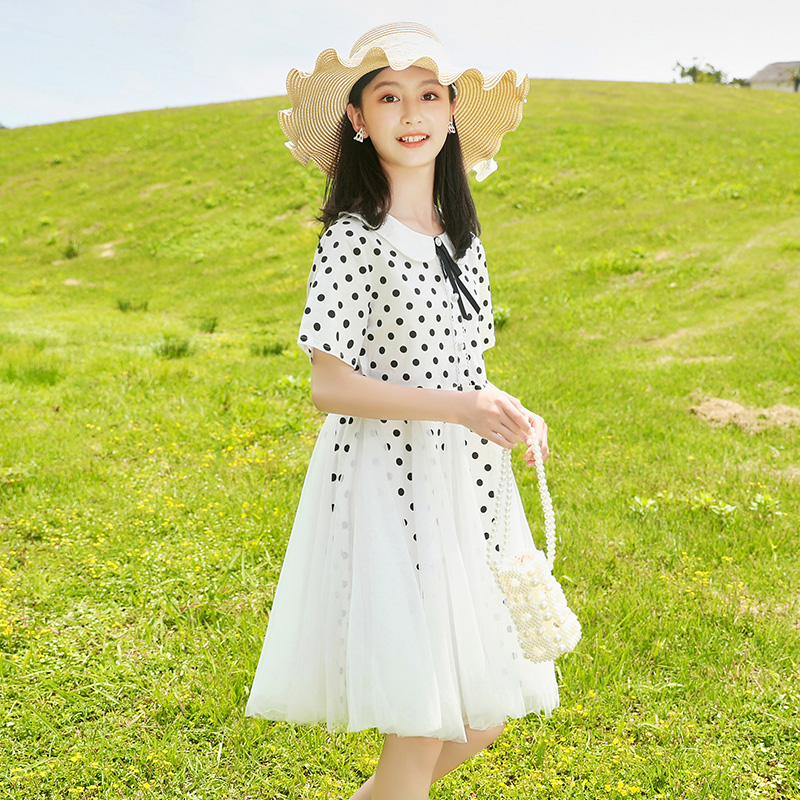 女大童连衣裙夏装2023新款儿童洋气纱裙时髦公主裙女大童夏季裙子