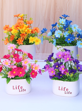 小雏菊花迷你绿植盆栽装饰品