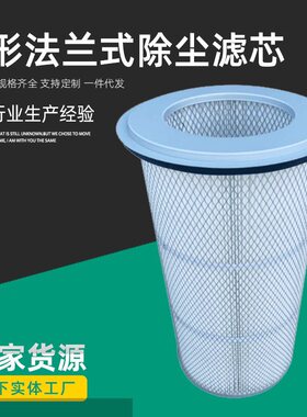 法兰式除尘滤筒卡盘式除尘滤筒覆膜除尘滤筒圆形法兰式除尘滤芯