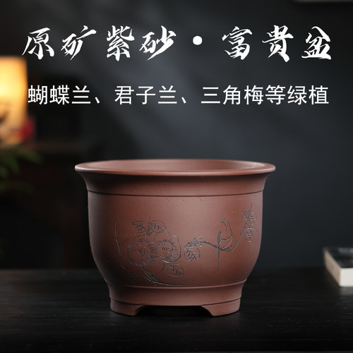 宜兴紫砂圆形君子兰专用花盆