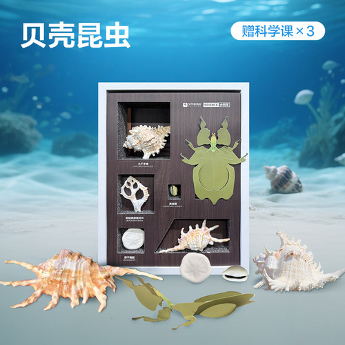 学而思diy造纸制灯编程入门课外阅读启蒙书收藏级教具贝壳观察-KX