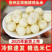 包邮 2件减10元 2025苏州鸡头米中颗粒500克新鲜分袋真空小包装