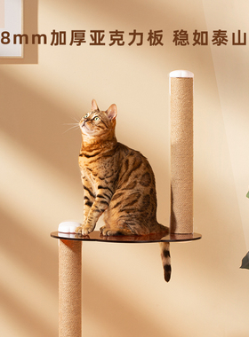 MAYITWILL米尾浮空猫爬架猫抓柱剑麻柱免打孔吸盘亚克力板猫跳台