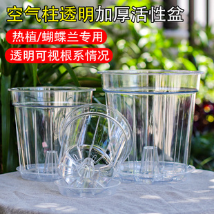 蝴蝶兰种植花盆雨滴高透明塑料带底孔透气兰科花盆桌面创意专用盆