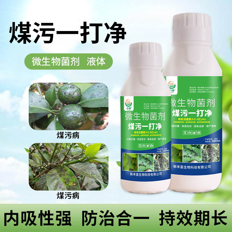 煤污病一打净杀菌药专用柑橘煤污病花卉月季烟草果树砂糖橘煤烟病
