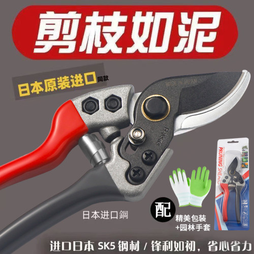 SK5钢果树专用修枝剪粗枝神器