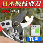 日本进口园艺剪刀修枝剪SK5果枝剪刀强力园林家用剪枝剪刀省力王