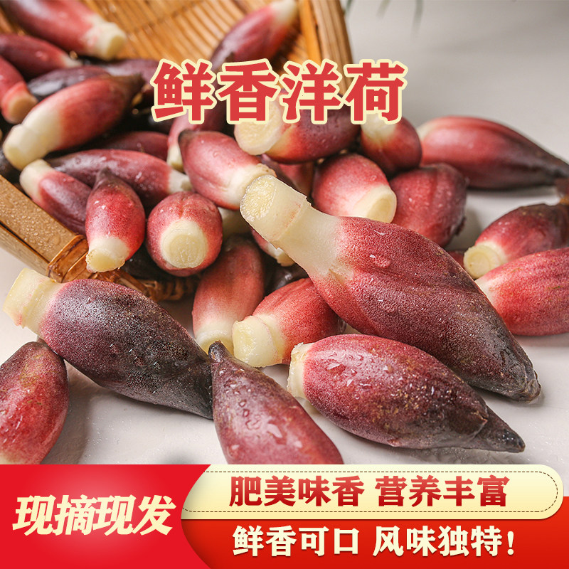 新鲜莲花姜价格 新鲜莲花姜图片 星期三