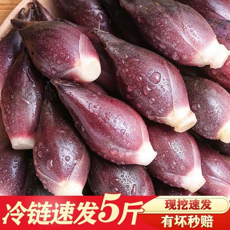 阳荷姜新鲜采摘食用阳荷姜洋河茗荷洋藿农家菜当季采摘