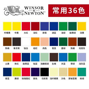 温莎牛顿画家专用丙烯颜料300ml丙烯画颜料36色常用色套装