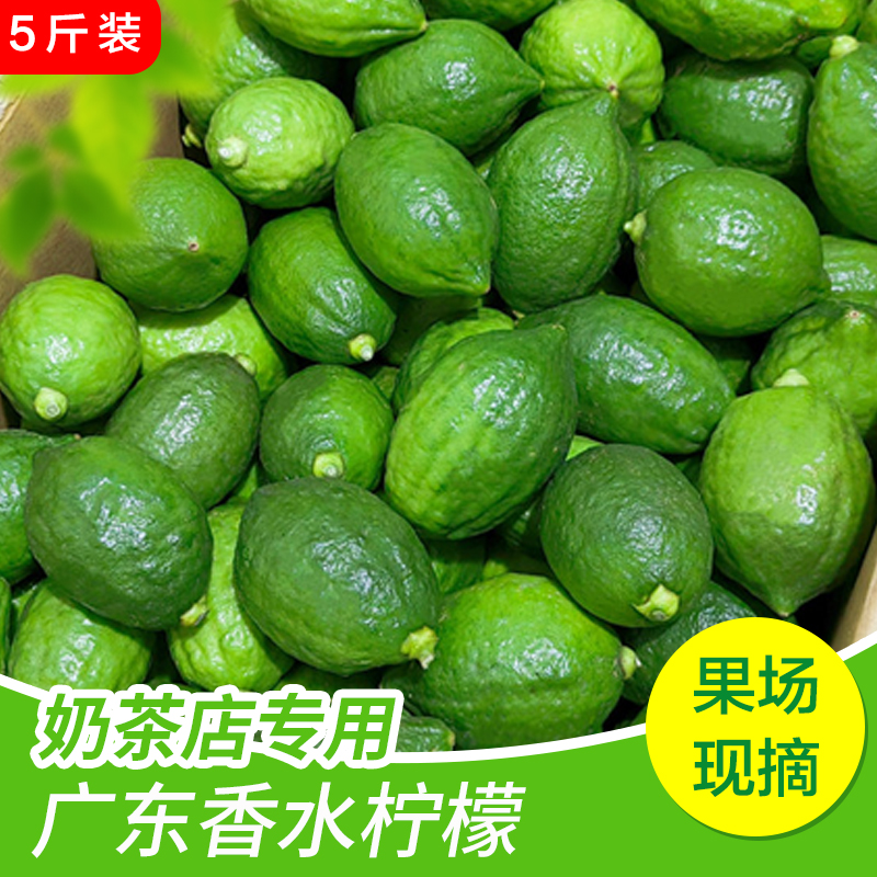 广东清远咖啡奶茶店专用香水柠檬