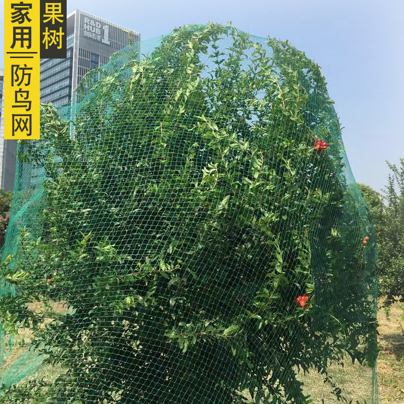 瓜果白色葡萄防护网网大鱼塘水果拦鸟网桃树网袋果树神器天网防鸟在类目 鲜花速递/花卉仿真/绿植园艺, 园艺用品, 其它园艺用品中 - 来自Buy2taobao.com提供专业的淘宝代购服务