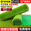 饰塑料绿色假绿植幼儿园地毯人造人工草皮围挡 仿真草坪垫子户外装