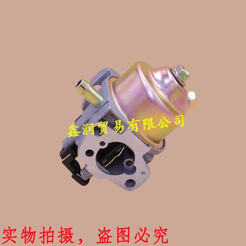 适用隆鑫LC1P170FA草坪机化油器196CC割草机小白龙微耕机供油器