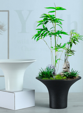 简约苔藓球高脚透气白色插花艺术米竹花盆陶瓷家用蝴蝶兰专用花盆