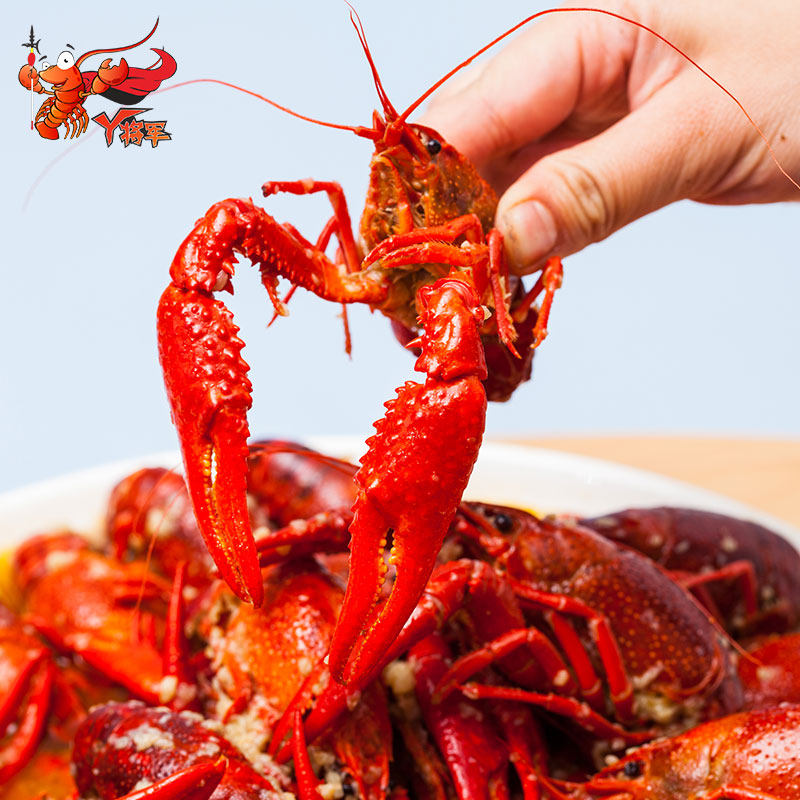 丫将军盱眙麻辣小龙虾900g鲜活即食熟食十三香蒜香辣盒装约25只|ruв категории водной мясо/свежие фрукты и овощи/еда, морепродукты/водные продукты/изделия, креветки, креветки изделия - от Buy2taobao.com для оказания профессиональной услуги покупки агента Taobao