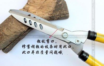 花草剪刀 修枝剪 园艺园林剪刀花剪园艺剪刀修剪树枝剪刀果剪刀u.