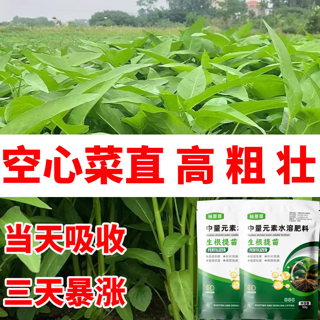 空心菜水溶肥生速长增产肥