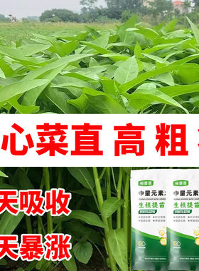 空心菜水溶肥生速长增产肥