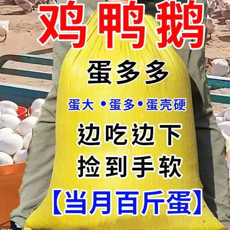 鸡下蛋专用蛋多多增蛋宝鸡鸭鹅鸽下蛋饲料催鸡【一件批发】产蛋灵