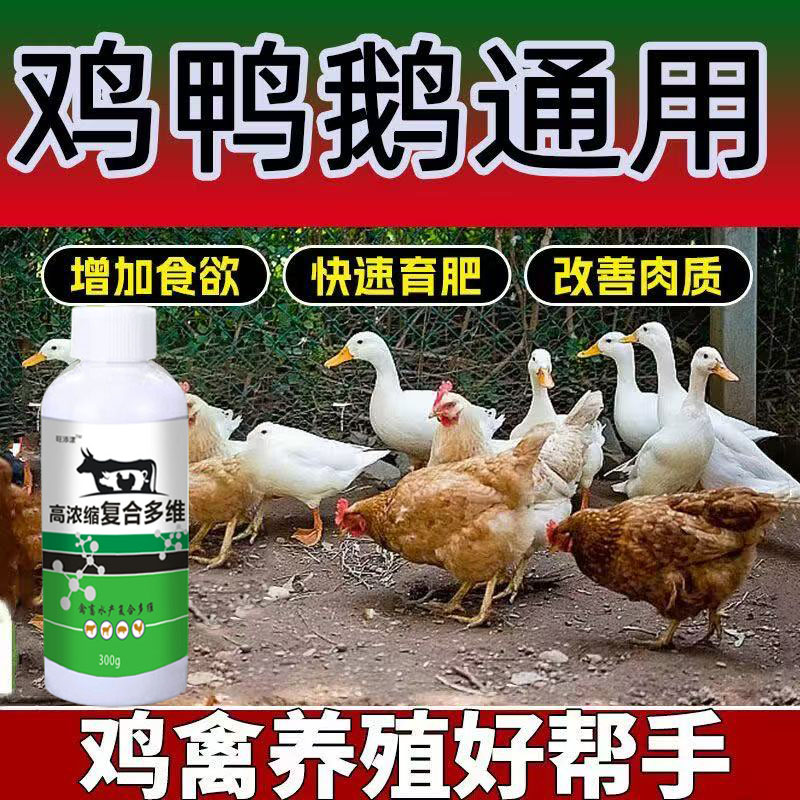 浓缩复合多维畜禽营养素强体质