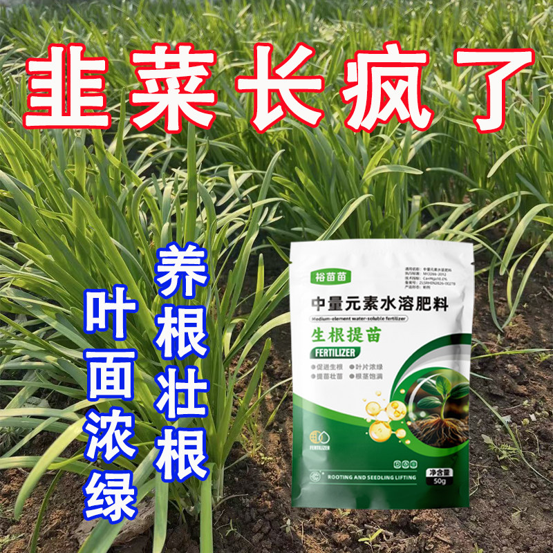 韭菜强力生根提苗壮根肥