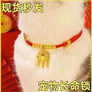 宠物新年项圈猫狗长命锁平安喜庆龙年围脖猫狗小型犬金项链可调节