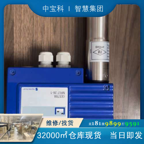 Gestra NRGT 26-1，H=500mm，液位传感器