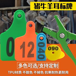 牛用耳标号牌加大加厚兽用耳x标钳养殖场标识猪牛羊用定制耳标号