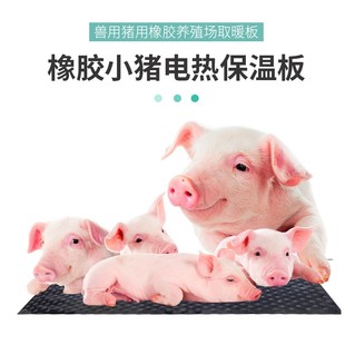 新品热卖养猪场保温板养蛇电热板蛇床取暖板小动物宠物养殖保暖板