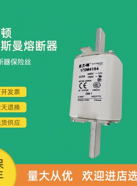 全新快速熔断器保险170M4108 170M4109 170M4110 170M4111