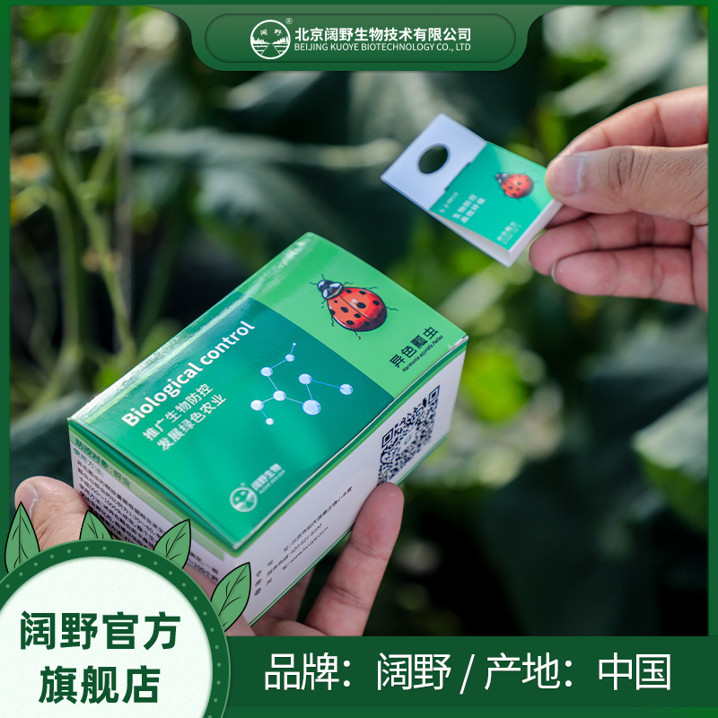 异色瓢虫  蚜虫 介壳虫 果蔬 园艺 昆虫 生物防治  大棚天敌