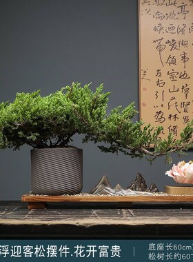 新中式真树迎客松花朵磁悬浮地柏盆景摆件玄关客厅办公室造景装饰