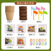阳光房种植补充包内含6款 种子4土块6杯子6插旗