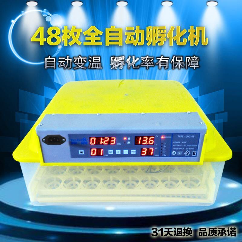 专用自动孵化9枚48枚小鸟蛋孵化6蛋器雀孵枚鸽子微型型全器 鸭孔