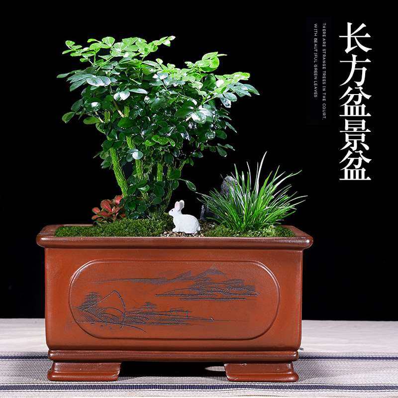 宜兴紫砂花盆长方马槽盆景盆阳台室内造景盆假山盆花卉种植盆花盆