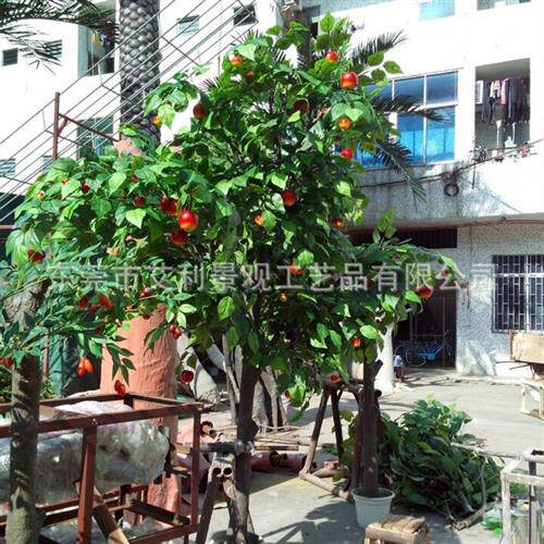 苹果树植物庭院园林商场布景果实盆景大型假树装饰绿植
