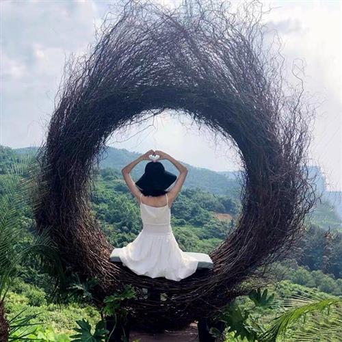 巴厘岛网红秋千民宿景区吊篮酒店打卡吊椅别墅室外庭院户外鸟巢