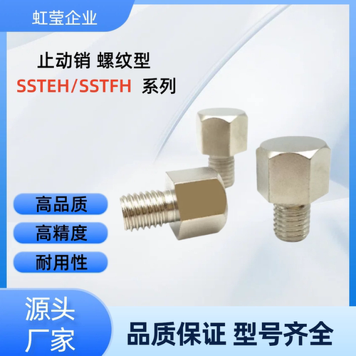 止动销 SSTEH5.5A/5.5/7/8/10/10B/13/13A/13B/14/14A/17/17A/19A