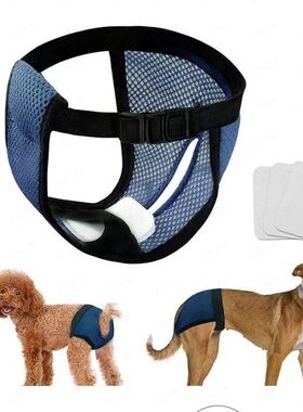 母狗生理裤母犬防孕裤狗狗生理期超透气安全裤狗狗生活用品姨妈裤