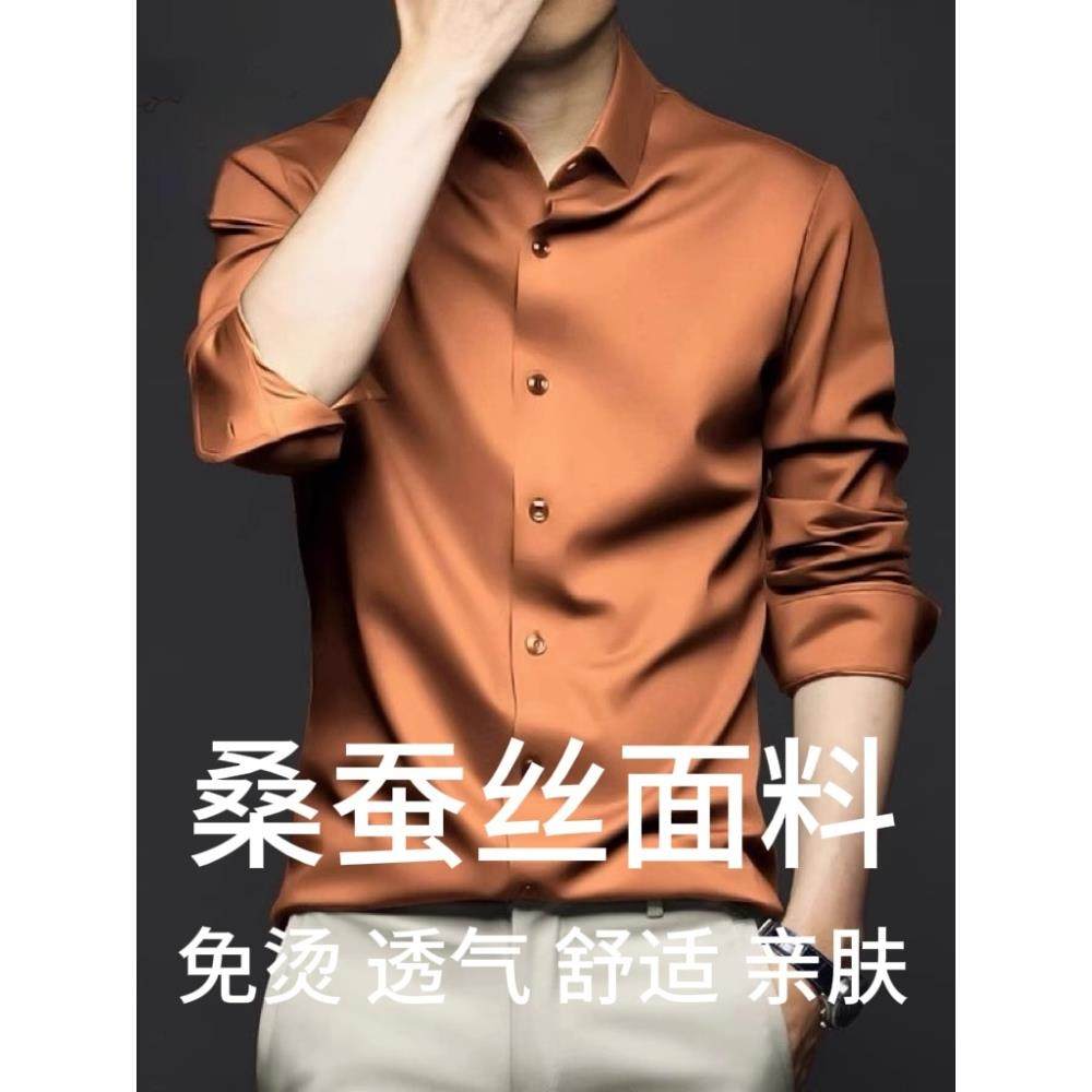 高端高级感桑蚕丝衬衫男长袖加大码高端商务休闲男士衬衣修身高端