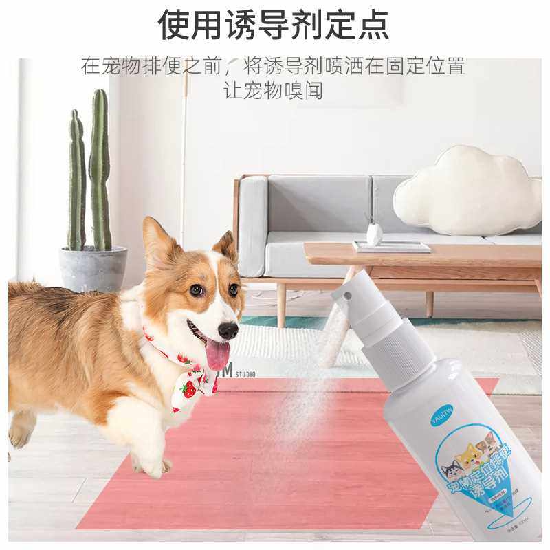 新款直销狗狗厕所诱导剂狗大小便训练上厕所引便便尿尿宠物定点排