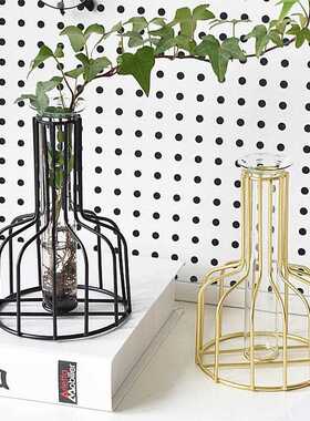 新款直销北欧风ins铁艺干花透明玻璃绿萝创意水培试管小花瓶客厅