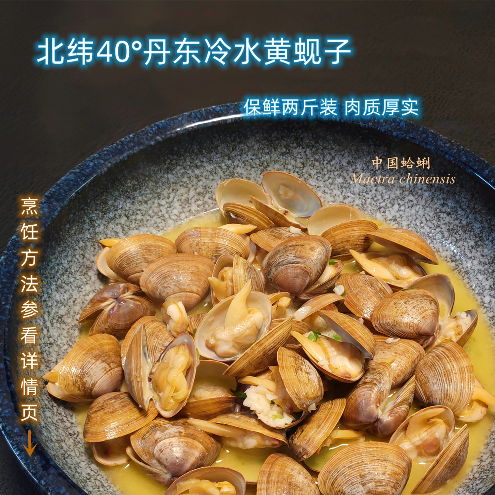 北纬40°丹东冷水黄蚬子 饱满扎实肥美鲜甜 已吐沙 黄白蚬组合装_虎窝淘