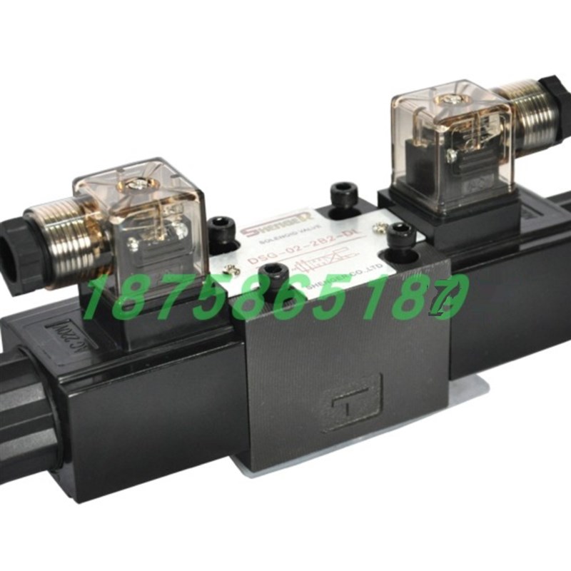 SHENGER电磁阀 DSG02-2B2/3C2/3C3/3CH4/3C5/3C6/3C7/3C8 DL